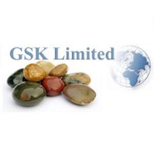 Logo GSK