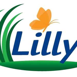 Logo Lilly