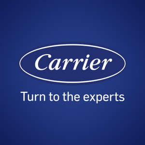 Logo Carrier