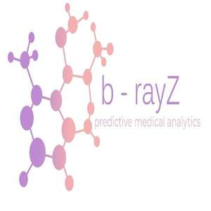 Logo b-rayZ