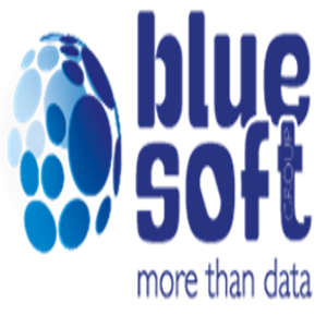 Logo Blue Soft