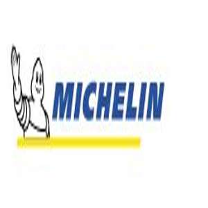 Logo Michelin