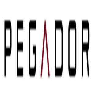 Logo Pegador