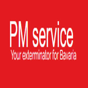 Logo PM SERVICE