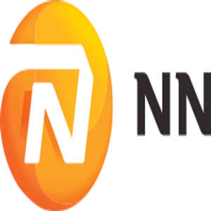 Logo NN Group