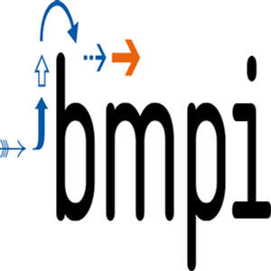 Logo bmpi