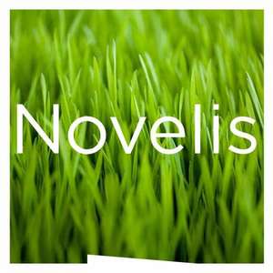 Logo Novelis