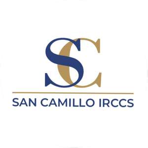 Logo SAN CAMILLO IRCCS